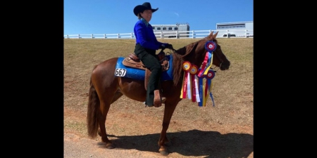 Heaven Is Grand (Eve), Missouri Fox Trotting Horse Mare for sale in Missouri