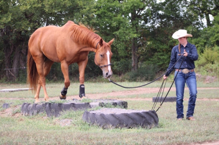 HANDSOME, American Quarter Horse Gelding for sale in Oklahoma