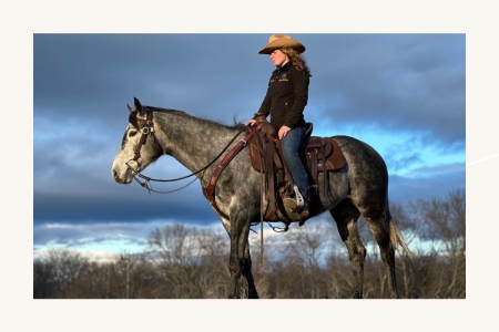 River - Quarter Horse Cross - Available on Thehorsebay.com, American Quarter Horse Mare for sale in New York