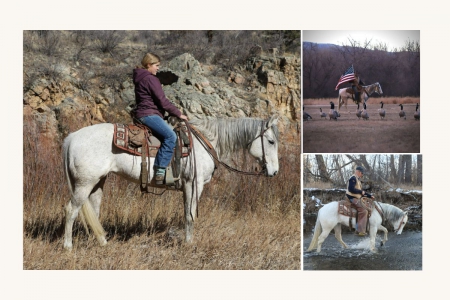 Grey AQHA - Available on Thehorsebay.com, American Quarter Horse Mare for sale in Colorado
