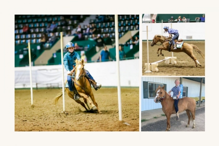 Pawnee, Quarter Pony Mare for sale in Minnesota