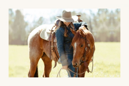 Red Roan American Paint Horse Registered Trail Mare, American Paint Horse Association Mare for sale in Montana