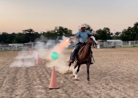 DOMINO QH MARE, American Quarter Horse Mare for sale in Louisiana