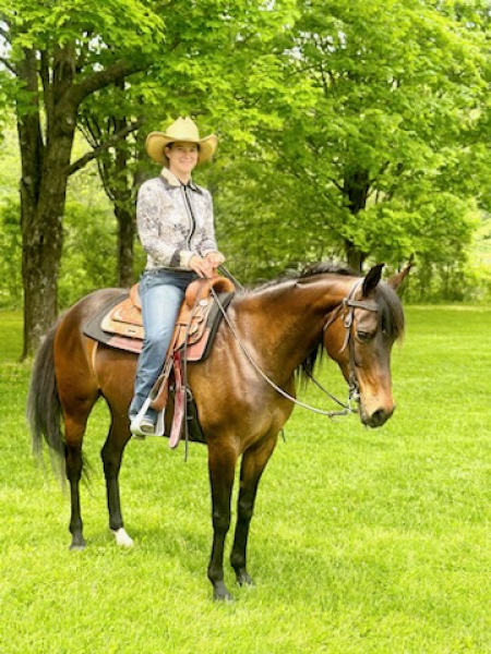 Elegant, well mannered Registered Half Arab Mare 15.1hh 10 yrs old *REDUCED PRICE*, Quarab Mare for sale in Pennsylvania