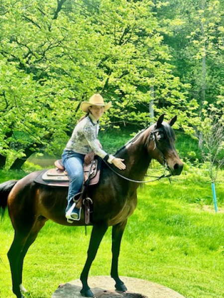 Quarab Mare For Sale In Pennsylvania - Elegant, Well Mannered ...