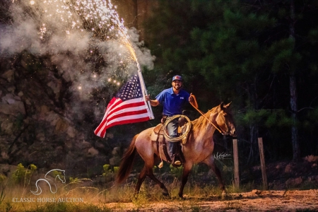 CIELO, American Quarter Horse Gelding for sale in Mississippi