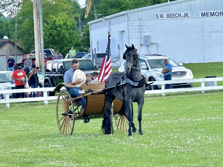 CONWAY, Tennessee Walking Horses Gelding for sale in Tennessee