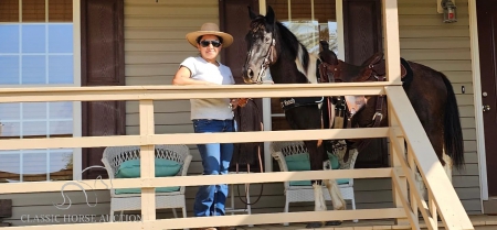 NUGGET, Tennessee Walking Horses Gelding for sale in Georgia