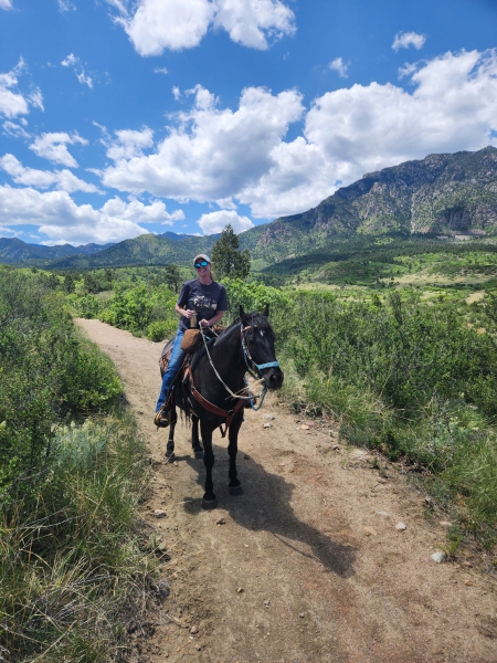 Loki, Mustang Gelding for sale in Colorado