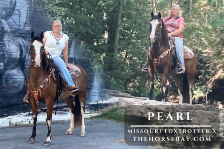 Missouri Foxtrotter X Mare For Sale (Gaited/Trail/Show), Missouri Fox Trotting Horse Mare for sale in West Virginia