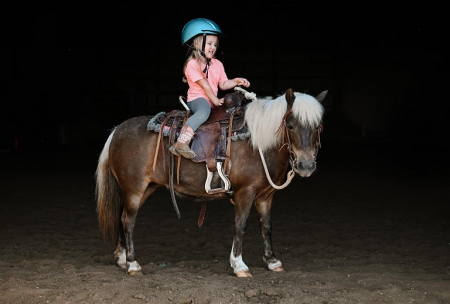 Pony Horse Grulla Mare 9 Hands (Ashanti), Ponies Mare for sale in Kentucky