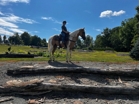 Paint Horse Palomino Tobiano Mare 15.1 Hands (Chlautile), American Paint Horse Association Mare for sale in Tennessee