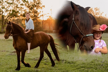 Warlander Gelding For Sale | Thehorsebay.com | Youth/Trail/Ranch, Draft Gelding for sale in Arkansas